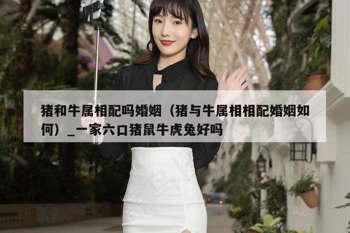 猪和牛属相配吗婚姻（猪与牛属相相配婚姻如何）_一家六口猪鼠牛虎兔好吗